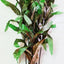 SILK PLANT 20”  50CM