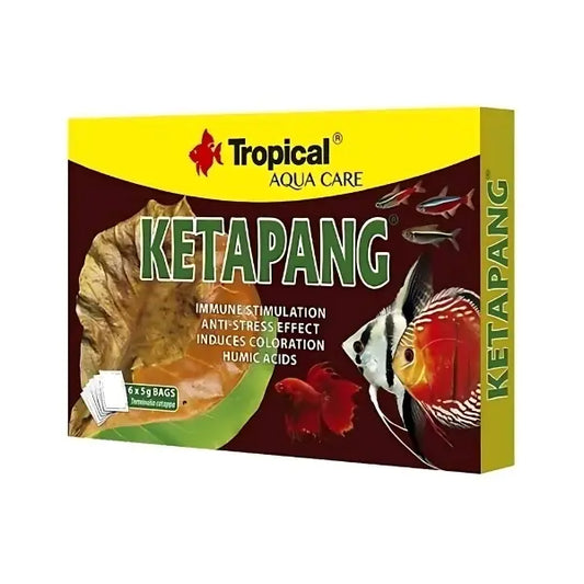 KETAPANG