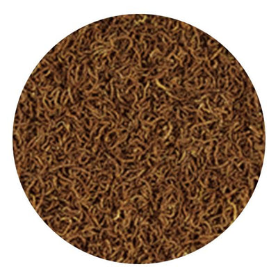 FD BLOOD WORMS 250ml/17g