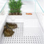 OPEN TURTLE TANK TA