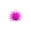 ANEMONE SMALL, AQUARIUM DÉCOR