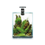 SHRIMP SET SMART 30