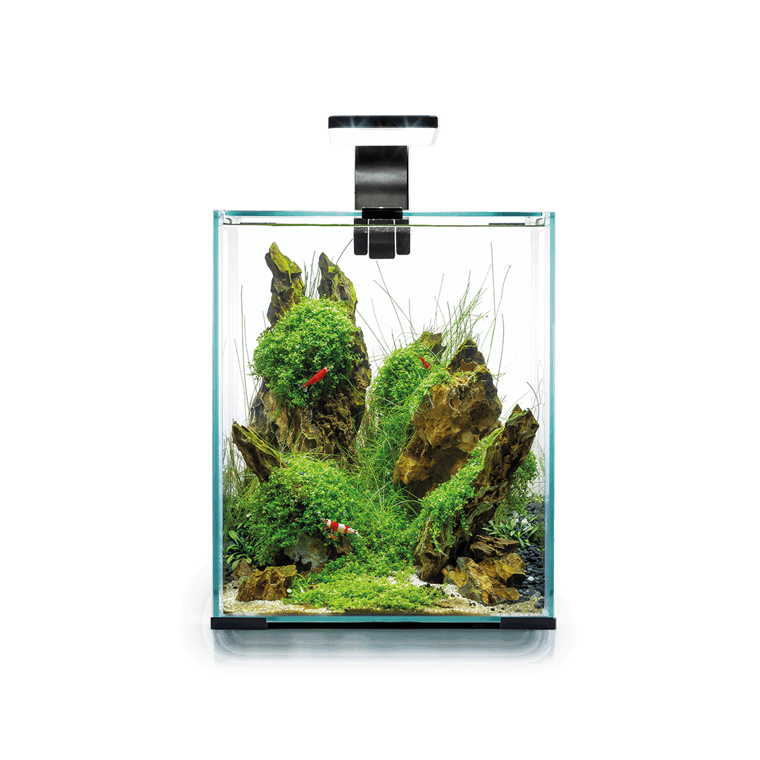 НАБОР КРЕВЕТОК SMART 30