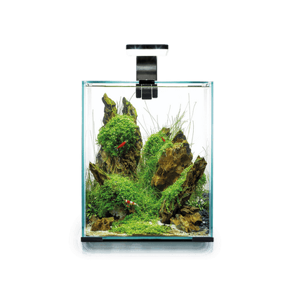 НАБОР КРЕВЕТОК SMART 30