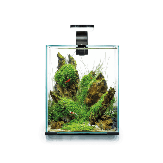 НАБОР КРЕВЕТОК SMART 30