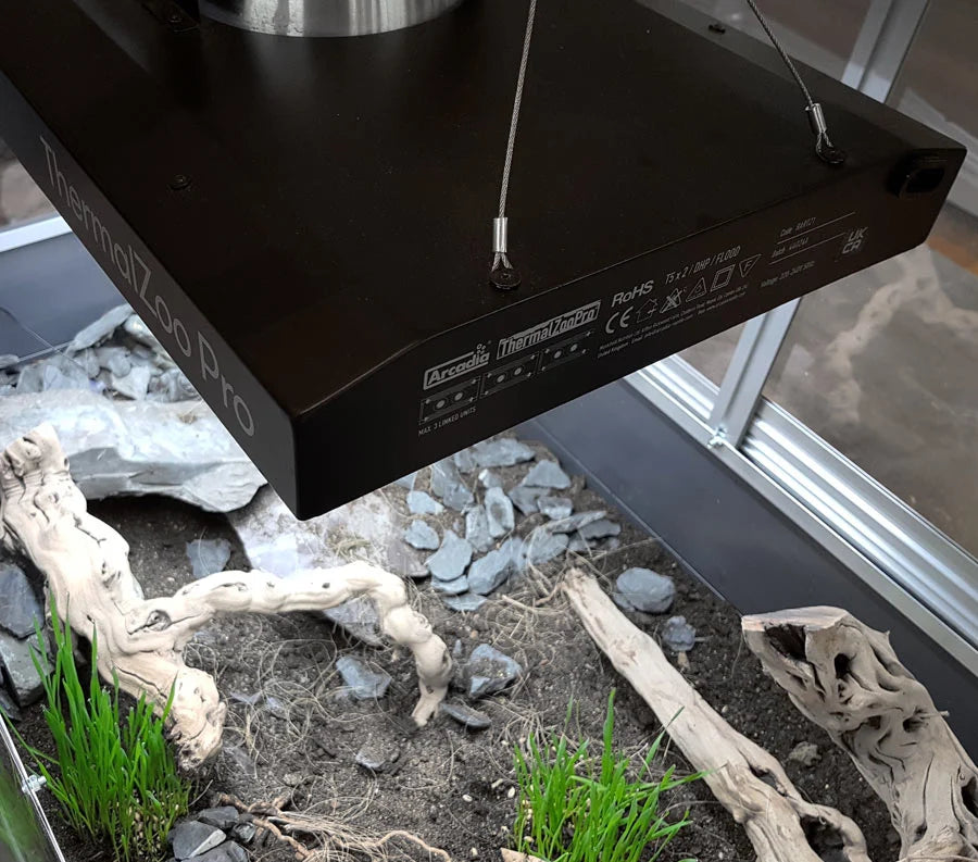 ARCADIA THERMALZOO PRO