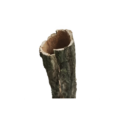 TREE BARK 15-55cm