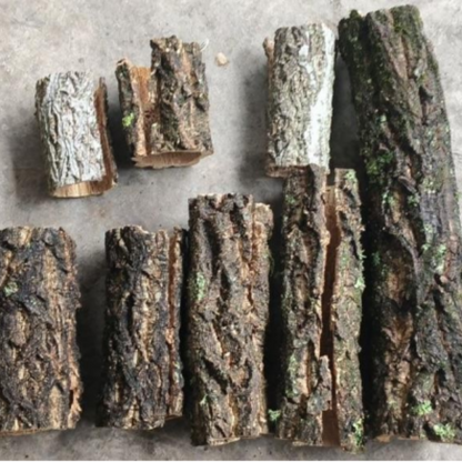 TREE BARK 15-55cm