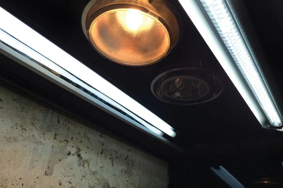 ARCADIA THERMALZOO PRO