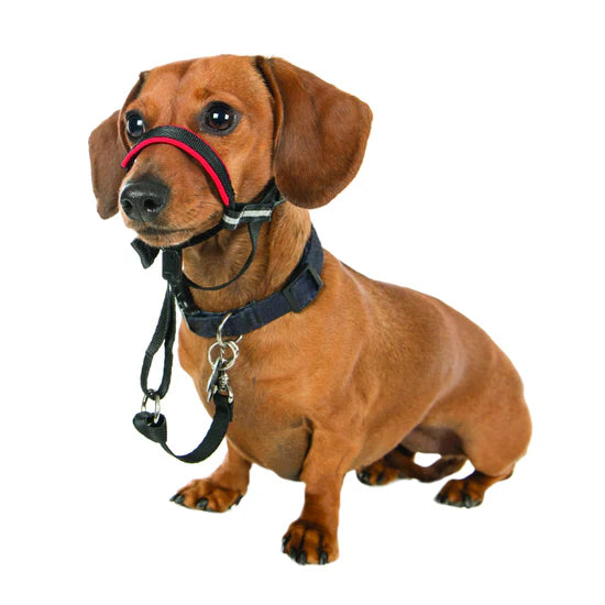 HALTI OPTIFIT HEADCOLLAR LICOL NO PULL