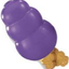 SENIOR KONG