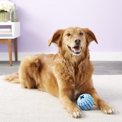 KONG PUPPY ACTIVITY BALL