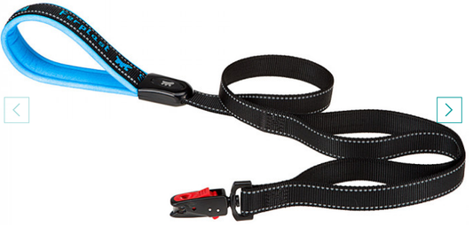 SPORT DOG MATIC LEAD