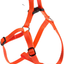 EASY P HARNESS