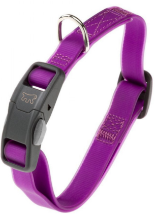 EVOLUTION C PURPLE