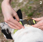 CLUB REFLEX COLLAR RED