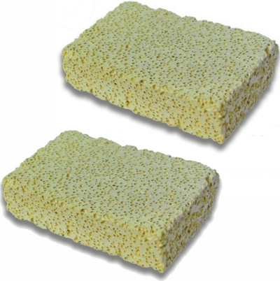 BACTERIAL HOUSE PLATE 13x8x3cm