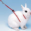 RABBIT HARNESS NY RAB