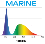 LEDDY SLIM MARINE