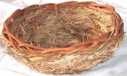 CANARY NEST