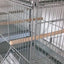 BREEDING CAGE X 8