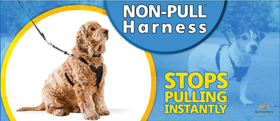NON-PULL HARNESS