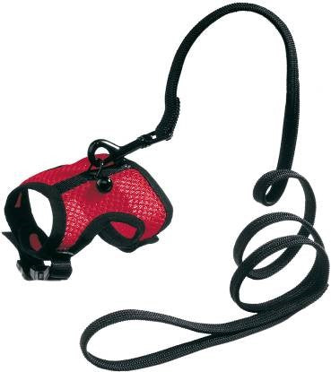 ANIMAL HARNESS JOGGING SMALL    