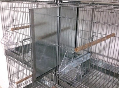 BREEDING CAGE X 8