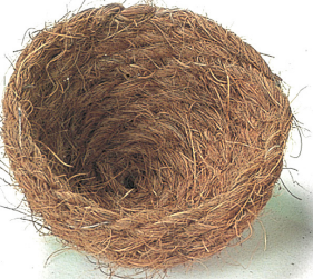 BIRD COCONUT NEST