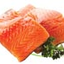 UNICA MINI SALMON
