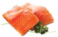 UNICA MINI SALMON