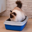 ARIEL 10 PLUS CATLITTER TRAY