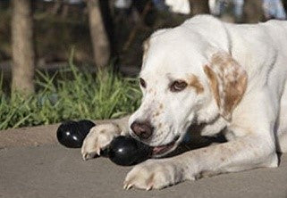 KONG GOODIE BONE EXTREME