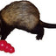 KONG SMALL ANIMAL