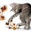CAT SOFTIES FUZZY BUNNY