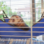 FURET TOWER