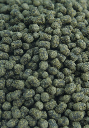 ADULT TURTLE PELLETS 240G