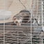 FURET TOWER