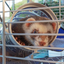 FURET TOWER