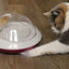 CAT FETHER CHASER   13 x  Ø 10cm