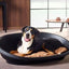 SNOOZE PET ПЛАСТИКОВАЯ КРОВАТЬ ЧЕРНАЯ