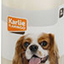CREAM SHAMPOO