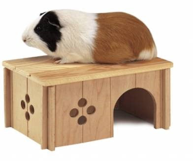 SIN 4645 GUINEA PIG HOUSE