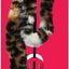 KONG CAT TEASER SWIZZLE BIRD