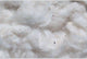 COTONE 100g