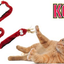 KONG CAT TEASER SNAKE