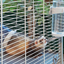 FURET TOWER