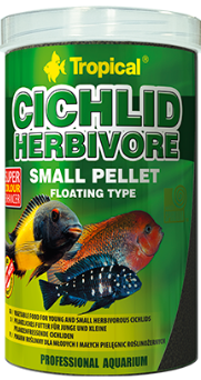 CICHLID HERBIVORE