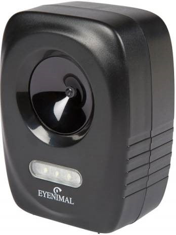 CAT STOP CHAT AN-B050