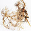 FINE WOOD BRANCHES 10-30cm per kg